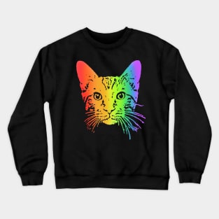 Rainbow Tabby Crewneck Sweatshirt